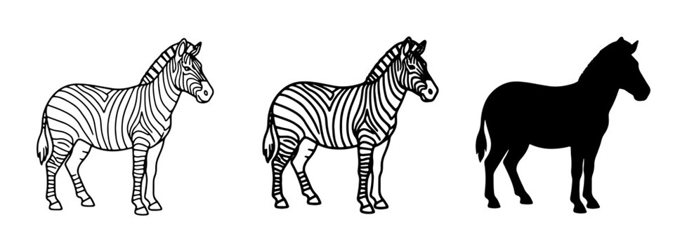 Zebra Vector Illustrations: Line Art, Detailed Drawing, and Silhouette for Wildlife and Safari Designs