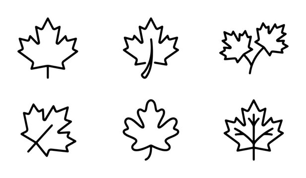 Maple Leaf Icons, Canadian Symbols, Autumn Fall Nature Elements, Simple Outline Vector Graphics