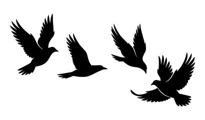 Fototapeta premium Black flying bird silhouettes collection with four dynamic wing poses isolated vector illustration