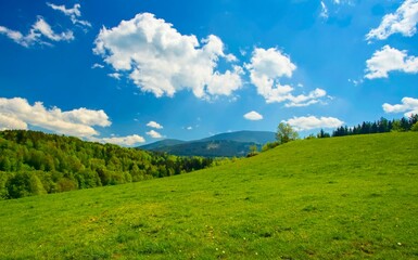 Spring on the pastures in Celadna in the Beskydy Mountains. © Pavel