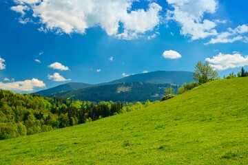 Spring on the pastures in Celadna in the Beskydy Mountains. © Pavel