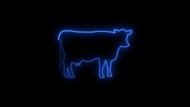 Neon blue cow outline standing isolated on black background neon cow silhouette