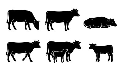 Cow silhouette collection with grazing cattle standing cows and mother calf farm vector graphics © Shohel