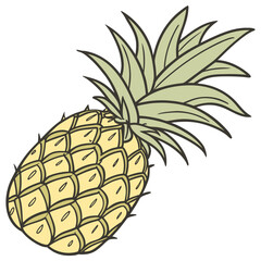Obraz premium Whole pineapple tropical fruit graphic illustration on white background