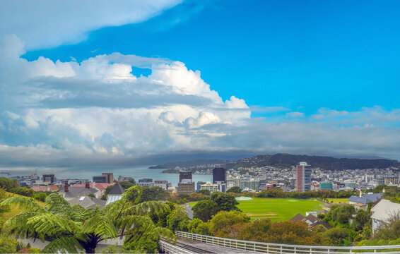 Panoramic view of the capital city of Wellington, New Zealand, from the Botanic Gardens