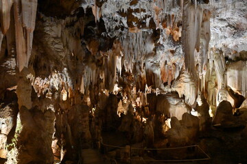 Cuevas del Aguila
