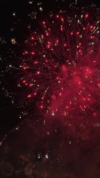 Bright Colorful Fireworks Verticale Explosion at Night Sky Las Fallas Festival Valencia Spain Celebration Pyrotechnic Firework Sparks Background Holiday