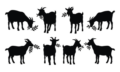 Obraz premium Collection of black goat silhouettes actively eating and grazing, holding leafy branches in their mouths, depicted in various natural feeding positions against a clean white background.