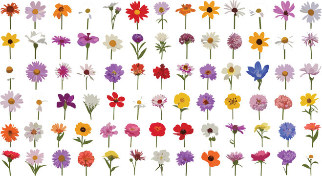 Large grid collection of different colorful wildflower stems arranged in neat rows on white background for spring floral store advertisement graphic design,