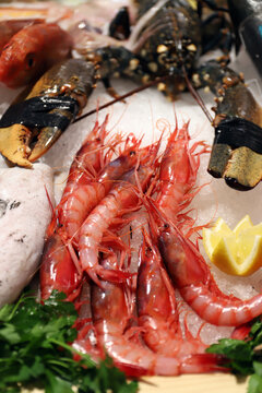 gambas rojas frescas en el mercado y un bogavante