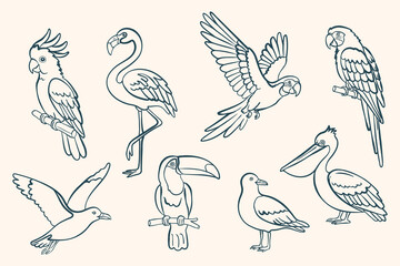 Fototapeta premium Summer tropical bird set in clean outline style. Flamingo, pelican, parrot, toucan and seagull in flying and sitting poses. Minimal vector line art isolated on light background.