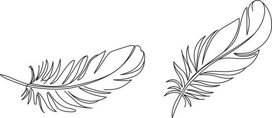 Simple feather illustration with detailed texture Vector © Tuhin