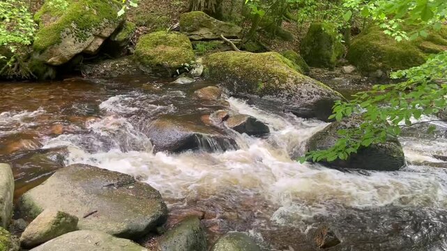 The Ilse is a 42.9-kilometer-long mountain river in the Harz Mountains and the Harz foothills; it originates in Saxony-Anhalt and flows into the Oker in Lower Saxony