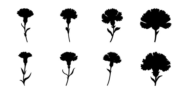 Black carnation flowers in silhouette style - Silhouette style black carnation flowers arranged in two rows with clean and elegant design