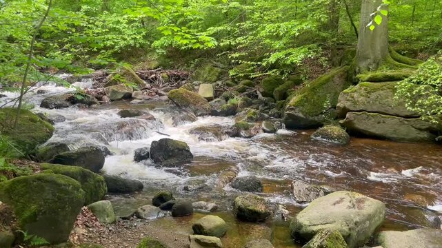 The Ilse is a 42.9-kilometer-long mountain river in the Harz Mountains and the Harz foothills; it originates in Saxony-Anhalt and flows into the Oker in Lower Saxony