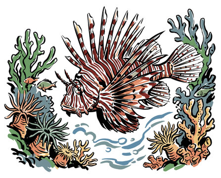 Lionfish swimming in a coral reef surrounded by sea anemones and small fish vintage hand-drawn illustration style