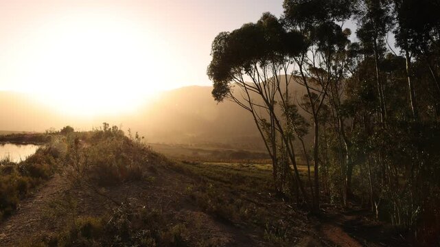 placid pond and trees overlooking Klein Mountains, Stanford, South Africa
