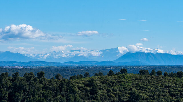 cha&icirc;ne du massif du Mercantour enneig&eacute; avec nuages et arbres verts en premier plan