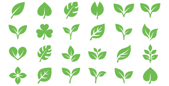 Collection of various green leaf icons representing nature and plant growth on transparent background