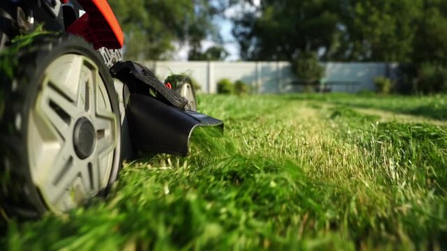 Lawn mower glides through green grass. Fence and trees frame the background. Sunlight highlights grass and machine. Gentle motion suggests careful care