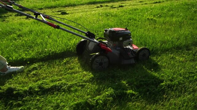 Lawn mower moves through vibrant green grass. Sunlight casts soft shadows on freshly cut grass. Person walks carefully, guiding the machine. Ideal for gardening, landscaping