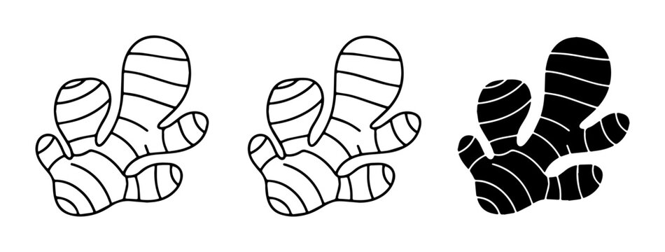Ginger Root Vector Icons, Fresh Spice Illustrations, Healthy Ingredient Graphics, Culinary Art