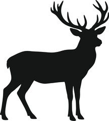 Fototapeta premium Deer silhouette with large antlers standing alone on white background for wildlife design