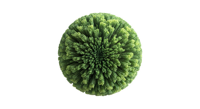 Green moss ball with intricate radial pattern texture