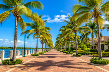 Fototapeta premium Tropical palm tree lined pathway leading to ocean shoreline