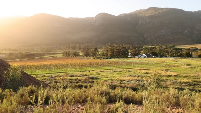 placid pond and trees overlooking Klein Mountains, Stanford, South Africa