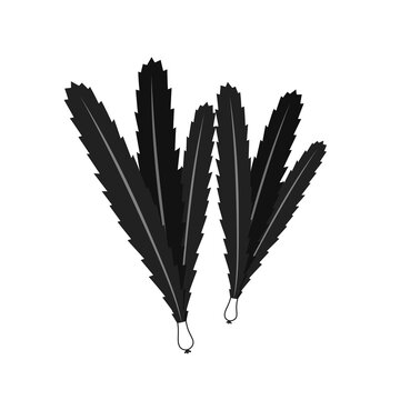 black cute culantro vegetable icon flat design