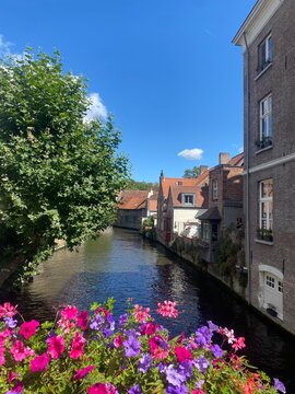 Picturesque view of a water canal with medieval brick houses and colorful flowers in the foreground