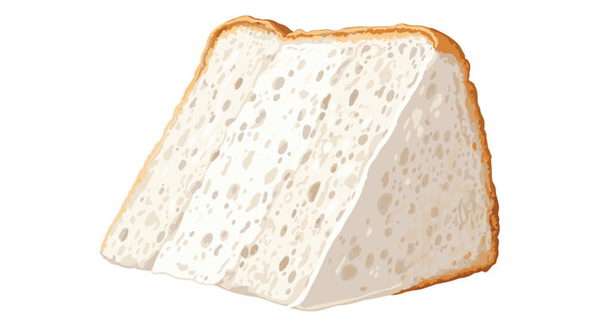 light and airy slice of white chiffon or sponge cake is shown with its fine crumb texture and golden brown crust on the top and bottom.