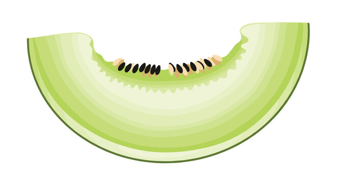 Large single slice of ripe honeydew melon showing its pale green flesh and dark seeds on a white background.