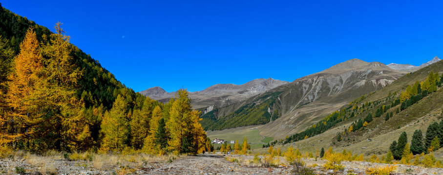 Wanderer auf den herbstlichen Bergwiesen bei Melag im Langtauferer Tal in S&uuml;dtirol
