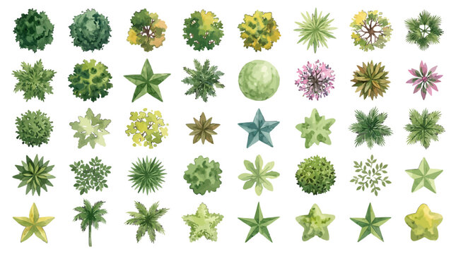 Set of Watercolor Tree Top View Icons for Landscape Architecture Design and Garden Plan Illustration on White Background