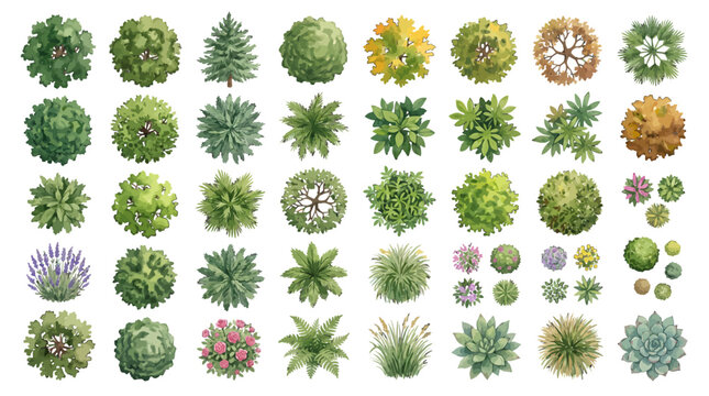 Set of Top View Trees and Shrubs for Landscape Architecture Design and Garden Planning Projects on White Background