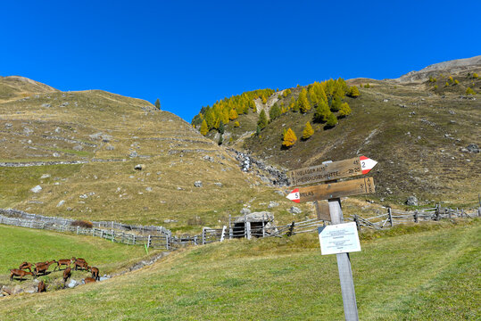 Wanderwegweiser im herbstlichen Langtaufers mit Blick zur Melager Alm, S&uuml;dtirol