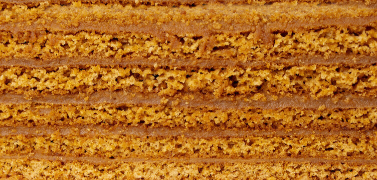 Honey cake isolated, medovik dessert piece