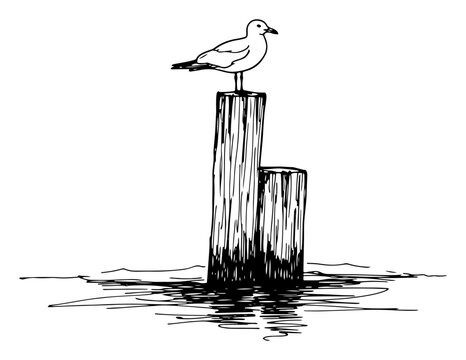Seagull perched on a wooden piling in the ocean in hand drawn vintage sketch style