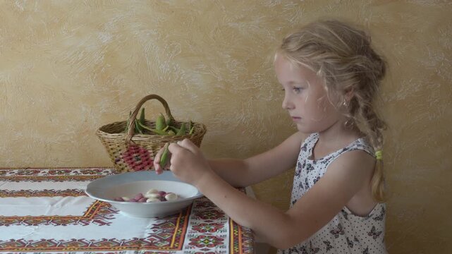 Little girl shells fresh beans at the kitchen table, Little blonde girl with pigtails shelling fresh green beans into a white plate at home