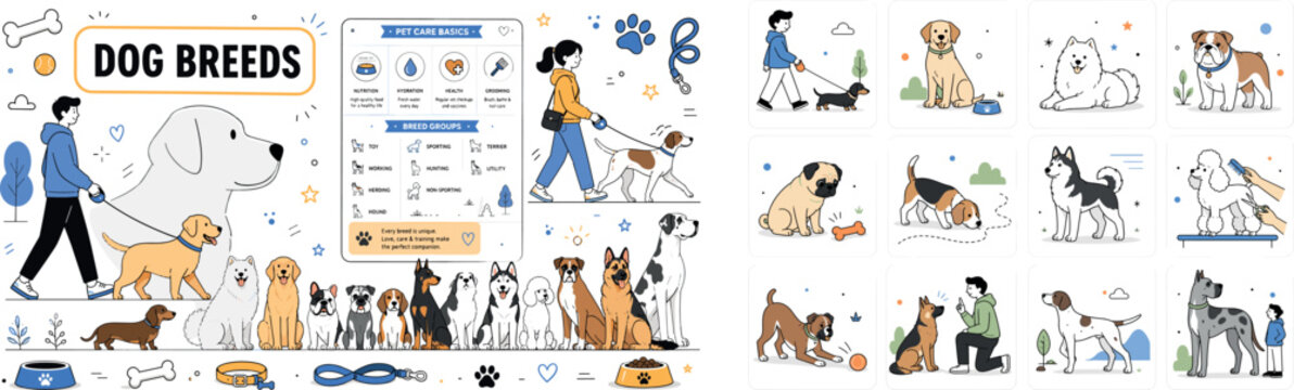 Dog Breeds. Editorial banner about dog breed collection, dachshund, labrador, samoyed, retriever, bulldog, pug, schnauzer, beagle, doberman, husky, poodle, boxer, german shepherd, great dane, hound,
