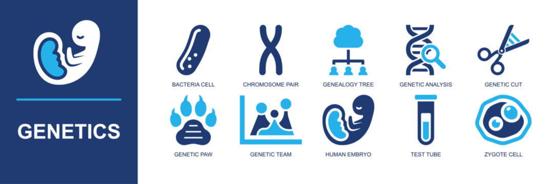 Genetics icon set. Containing bacteria cell, chromosome pair, family tree, DNA scan, gene edit, genetic paw, family genes, human embryo, test tube and more. Solid fill vector icons.