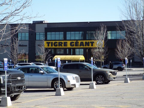 Gatineau, Quebec, Canada &ndash; April 19, 2026: The exterior of a "Tigre G&eacute;ant" discount department store features bold yellow signage overlooking a busy customer parking lot at 9 Bd Montclair.