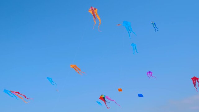 A lot of different colorful kites are flying in the blue sky and swaying in the wind during summer outdoor festival. Childhood, freedom and leisure time concept