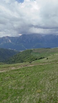 Hikers walking on Baiu Mountains alpine meadow with Bucegi view spring