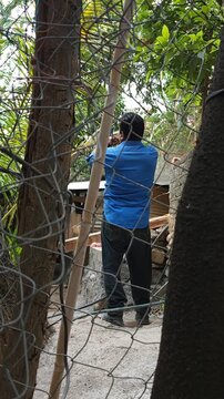 Person Using Smartphone Device While Standing in Green Garden