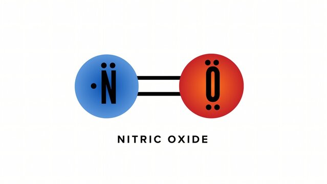 A clean medical vector showing the Lewis dot structure and double covalent bond of a Nitric Oxide molecule, used for science education and pharmacological reference.