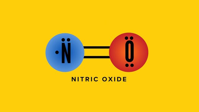 A clear chemical vector diagram illustrating the Lewis structure and double covalent bond of Nitric Oxide (NO), a vital biological signaling molecule and endothelial vasodilator.