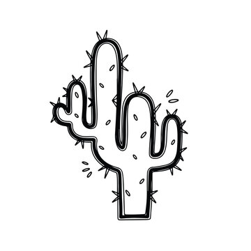 Cactus Illustration with Thorns